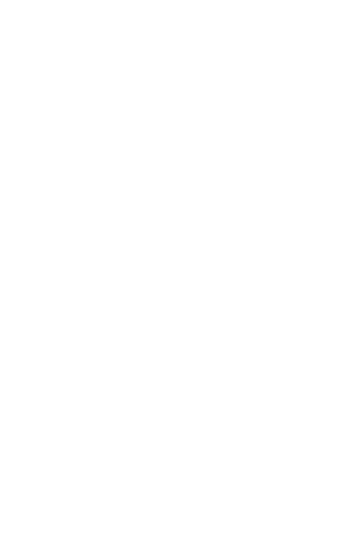 Порта Европа